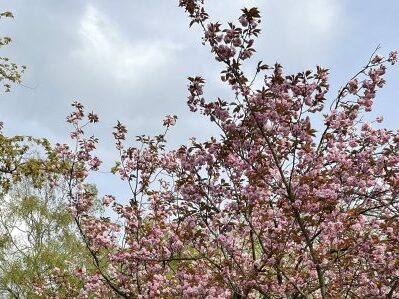Wunderwelt Friedhof