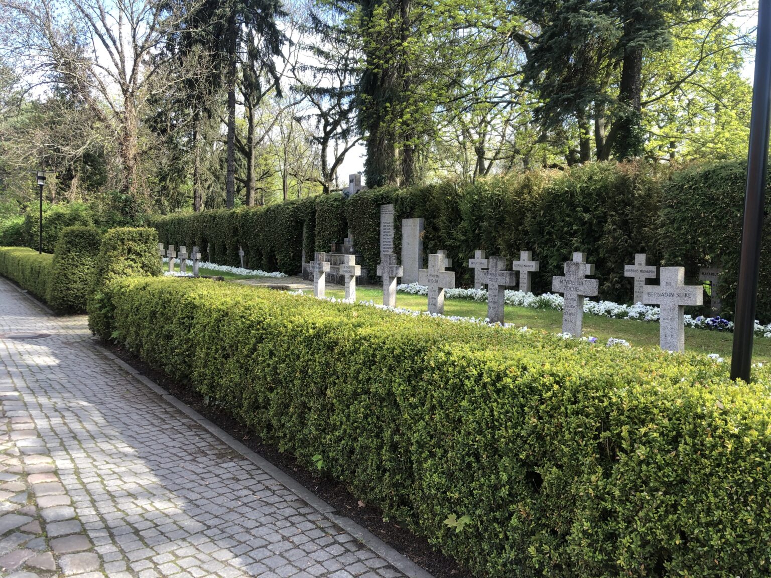Wunderwelt Auferstehungsfriedhof