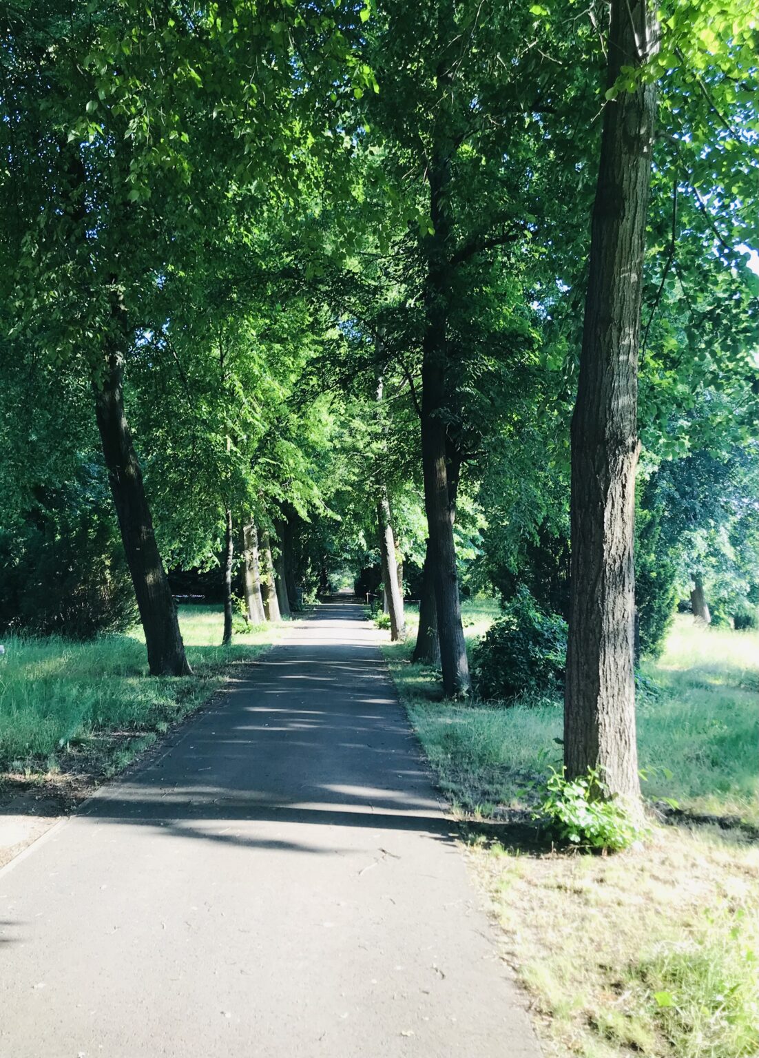 Wunderwelt Neuer St.-Matthäus-Kirchhof am Priesterweg