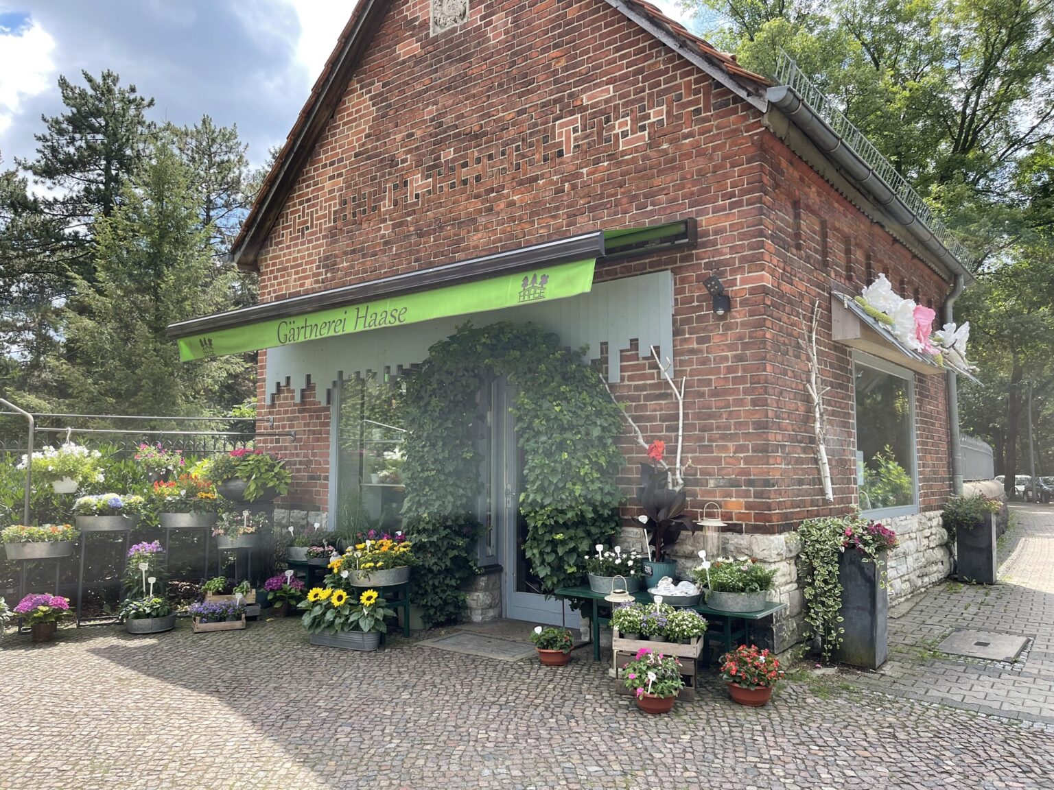 Wunderwelt Waldfriedhof Heerstraße