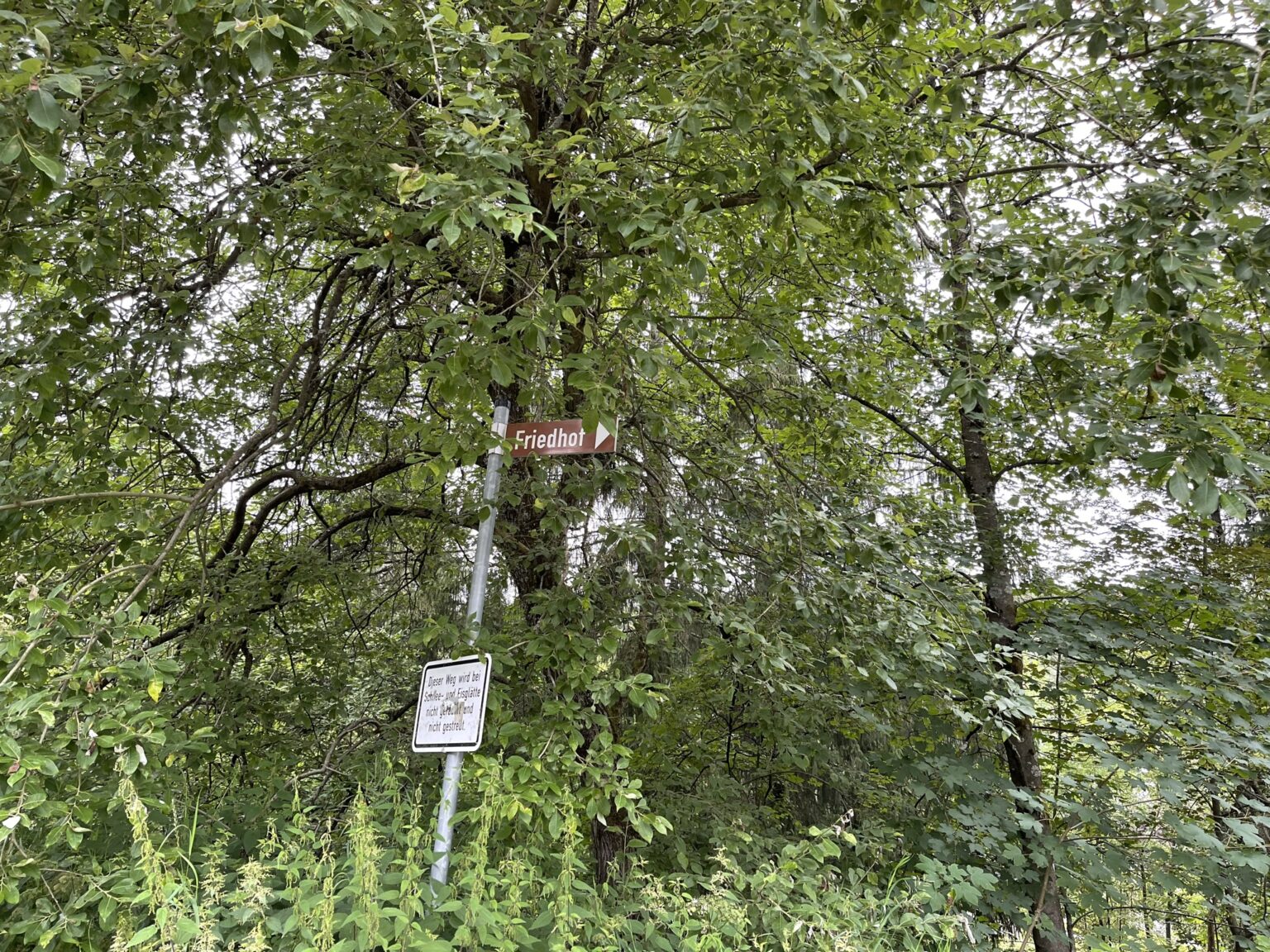 Wunderwelt Friedhof Hahnenklee-Bockwiese im Oberharz